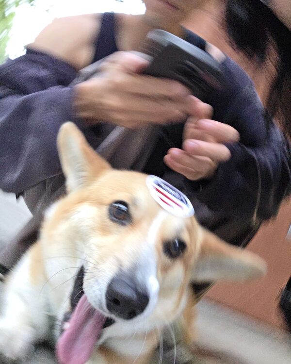 free meeee!!