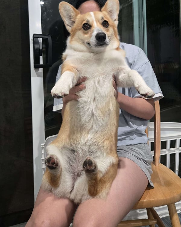 long.