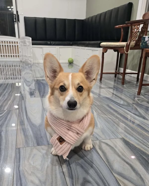 warm for the winter