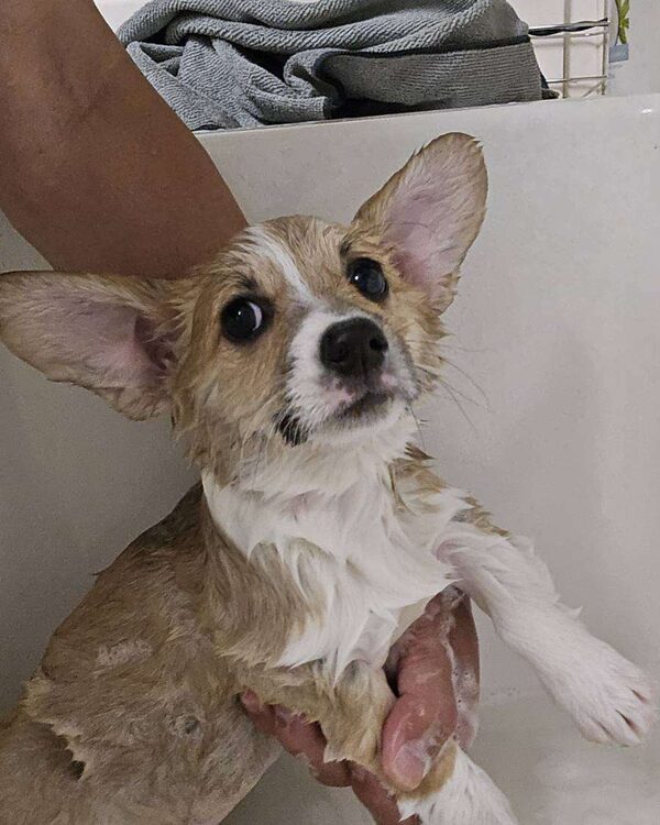 scrunkly